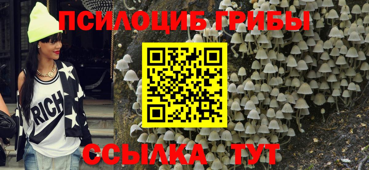Псилоцибиновые грибы ЛСД Усть-Джегута