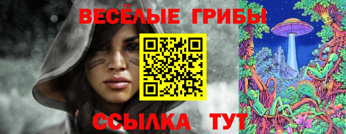 Псилоцибиновые грибы Cubensis  Вход с VPN  Усть-Джегута  Галлюциногенные грибы ЛСД 